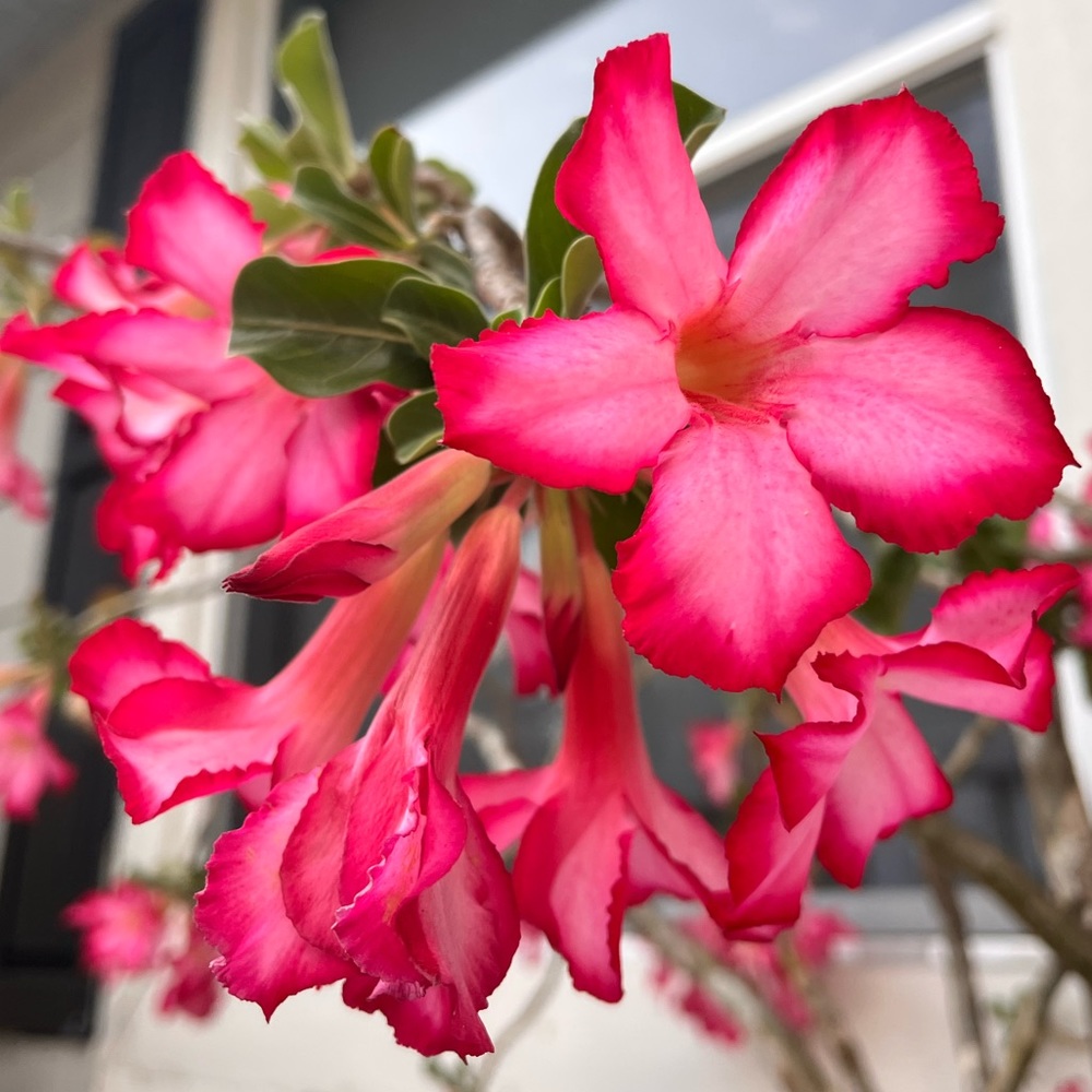 Meet your Posher, Trinity